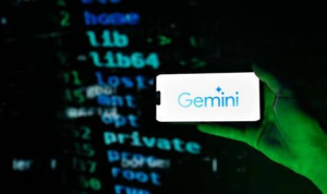 国内如何注册使用Gemini？ - 明点跨境OSDWAN